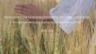Потрясающее видео! Праздник жатвы! 2025