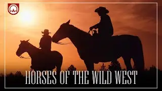 How Horses Changed America | Wild West Documentary Short