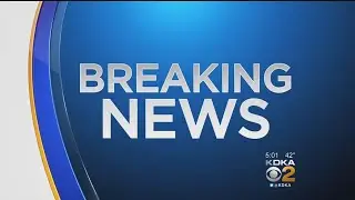 Police: West End Animal Cruelty Suspect Starved Animals In Cages