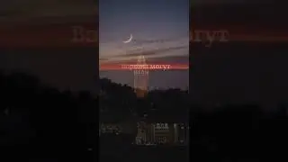 Подборка фактов,которые удивят✔ #youtubeshorts #facts #trending #факты #top #youtube