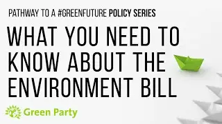 What You Need To Know About The Environment Bill