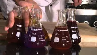 Political Advert - Gusto's Cooking Show [HD]