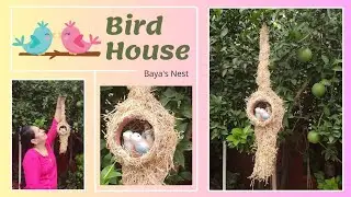 DIY bird house - garden/balcony/terrace Decoration from waste materials | CURLYMONIL