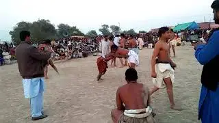 Malh pahlwan tady shede 2020