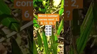 Which number comes next: 2, 6, 12, 20, ?