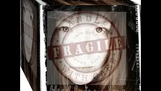 Head Injury Jane TBI Fallout: 'aggressive' ear ringing..