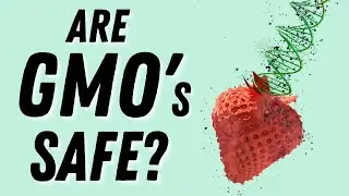 Should we Fear GMO&rsquo;s? (Food Scientist Explains)