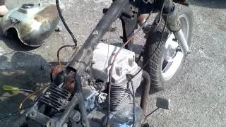 Dinamo custom 250