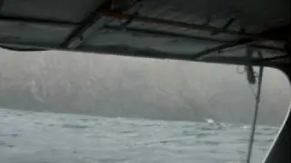 Durville Island 2009