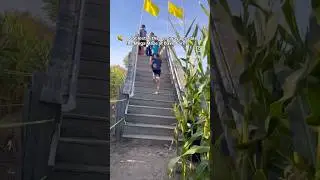 the Mega Maze at Davi&rsquo;s Farm