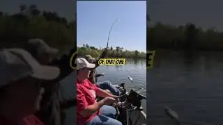 Big BEAUTIFUL Black CRAPPIE | CRAPPIE FISHING #thenextcast #fishing