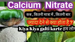Calcium nitrate कब,कितनी मात्रा में, कितनी बार / Calcium nitrate ज्यादा देने से क्या होता है ?