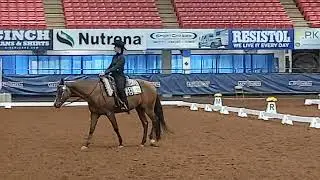 WDAA World Championship Show Level 2 Test 4
