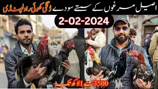 Raja bazar dingi khoi Rawalpindi 2024 | راولپنڈی میں اصیل مرغوں کا جمعہ بازار | Aik Murga Le liya