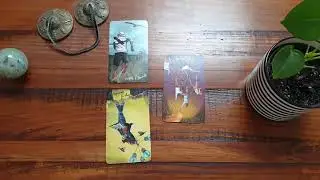 Three card tarot spread using Light seers 🔮