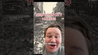 NEW YORK CITY HORSE #history #historical #historyfacts #horse #horses #nyc #ny #newyork #newyorkcity