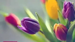 تكبيرات العيد بصوت الشيخ مشاري العفاسي