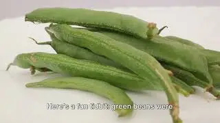 The Top 10 Easy-to-Grow Vegetables for Beginners