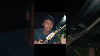 Rainstorm Lake Camping &ndash; Hunting Fish Day and Night 🌧️🏕️