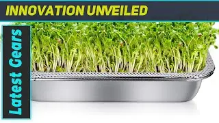 Rectangle Stainless Steel Seed Sprouting Tray Kit: Best Germination Tray for Healthy Sprouts