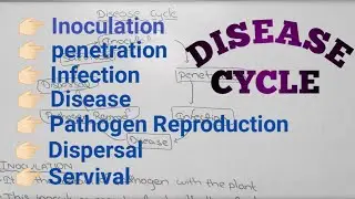 Disease Cycle  @conceptualizestudy