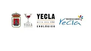 Visitando una bodega en 360º - Ruta del Vino Yecla