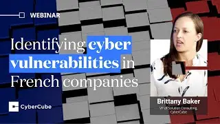 CyberCube analysis: Identifying cyber vulnerabilities in French companies