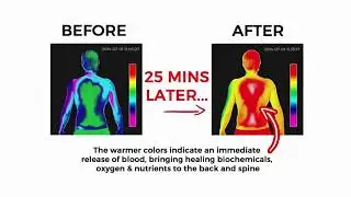 My back pain coach reviews, Back pain relief 4 life program sciatica exercises DVD video, PDF review