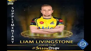 Peshawar Zalmi Team Squad | PSL 05 | PSL 2020