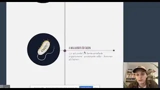 Tidslinje  |  Evolusjon 4