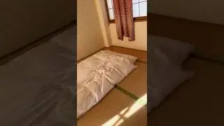 Traditional Japanese bedroom with bamboo floors