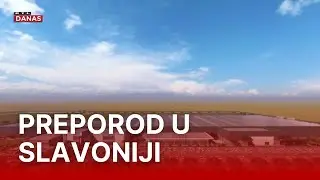 Američka tvrtka Jabil otvorila tvornicu u Osijeku | RTL Danas
