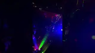 Spreebogenpark 3.8.2024 Techno Rave Outdoor Berlin Strobo citylife