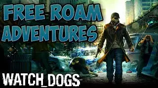 Watch Dogs: Free Roaming in single player window shopping and stuff.