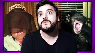 UNNECESSARY STORIES!! TRAVIS THE CHIMPANZEE AND CHARLA NASH!! REACTION!!