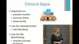 Coccidia in a Shelter Setting: 5.Clinical Signs of Coccidia - class