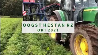 Hestan RZ  Eerste oogst oktober 2021