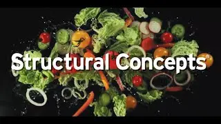 Your Preferred Merchandising Partner | Structural Concepts