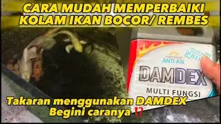 Cara Mudah Memperbaiki Kolam Ikan Bocor/ Rembes⁉️ Takaran untuk Damdex