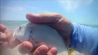 July Fishing at the Point, Oak Island