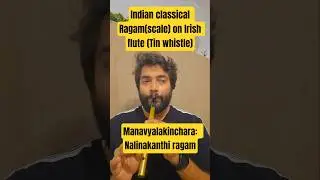 Indian scale on Irish flute #irish #flute #music #tinwhistle #tyagaraja #flutemusic #nalinakanthi