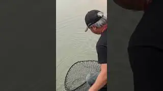 Urban Catfishing: City Park In Denver, Colorado