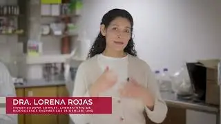 Lorena Rojas - Yamila Santill&aacute;n. Laboratorio de Bioprocesos Enzim&aacute;ticos (BioEnLAB UNQ)