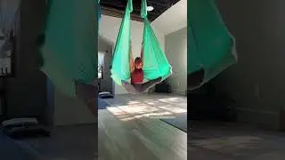 Aerial Yoga Short | Low Hammock Flow in the Morning Sun ☀️