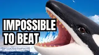 7 Animals That Defeat A Great White Shark