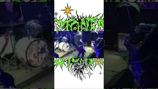 STONED (스톤드) &ndash; Live Korean Punk Rock Mayhem 🔥