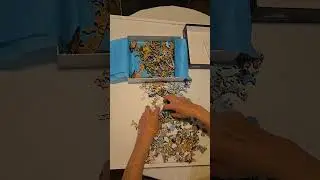🧩 Puzzle Magic: Solving a Liberty Puzzle at Warp Speed! | Flatirons, Boulder CO