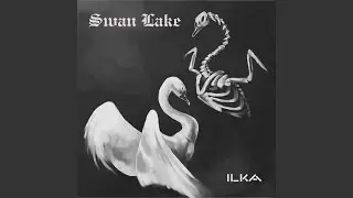 White Swan (B SIDE)