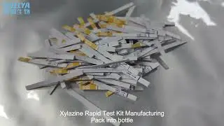 Xylazine Rapid Test Kit Manufacturing Lateral Flow Test Strip Manufacturing -Xylazin Test Kit-BALLYA