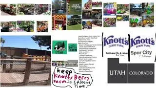 Design 3 Disney Parks Durango & Salt Lake City & Georgetown Like Paris & HK & 2 Knotts Durango & SLC